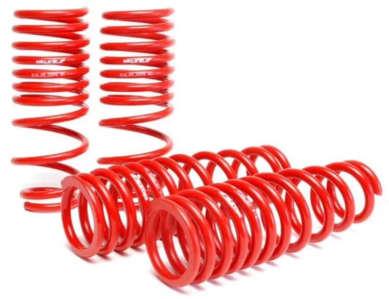 Skunk2 96-00 Honda Civic Lowering Springs (2.50In - 2.25In.) (Set Of 4) 1