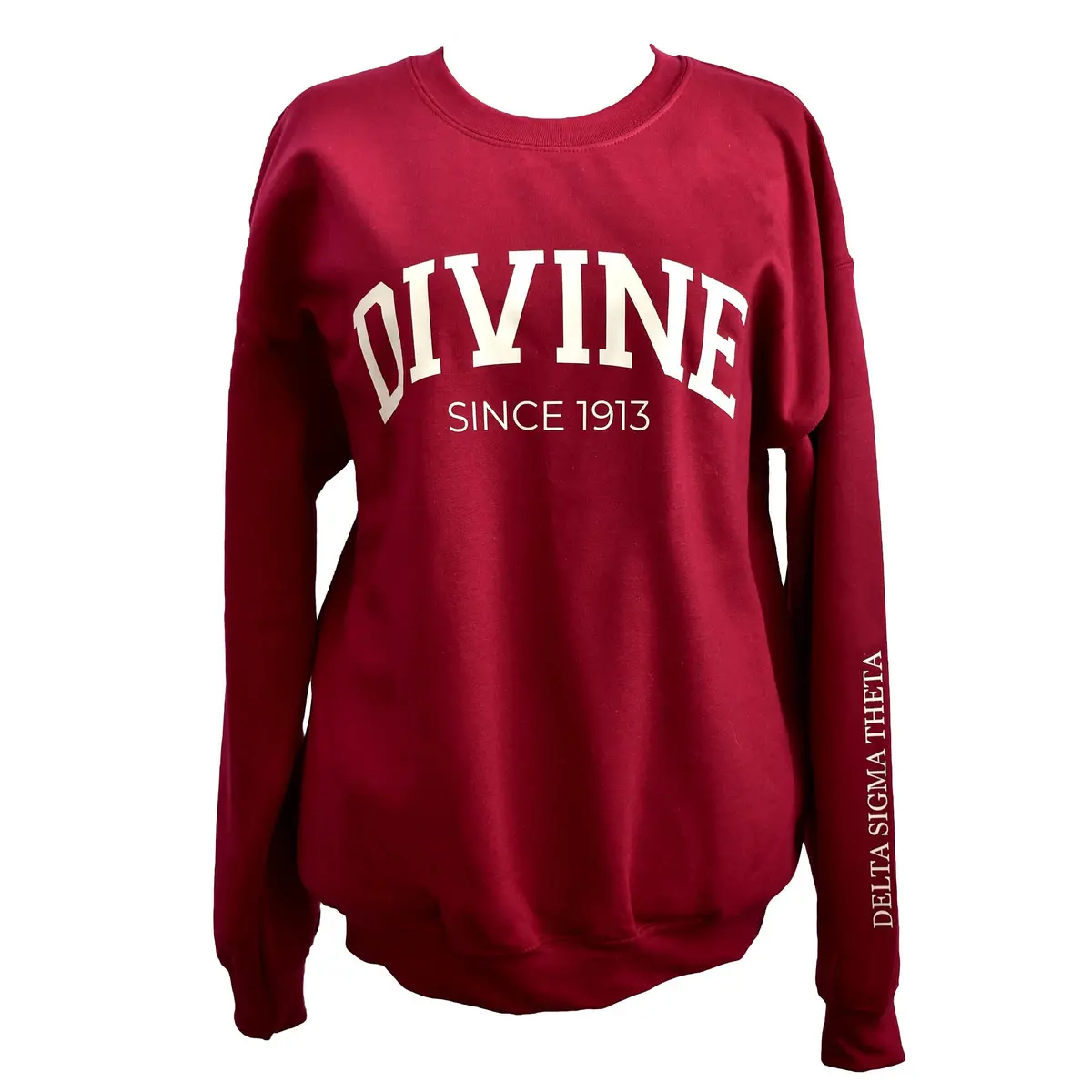 Delta Sigma Theta Sorority, Incorporated Sweatshirt- Divine And Sorority Name Design 1