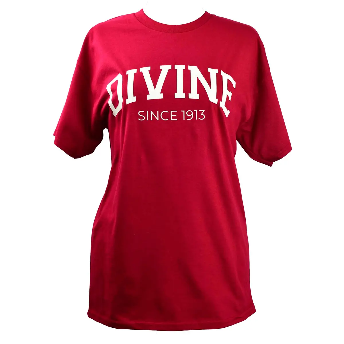 Delta Sigma Theta Sorority, Incorporated T-Shirt- Divine And Sorority Name Design 1