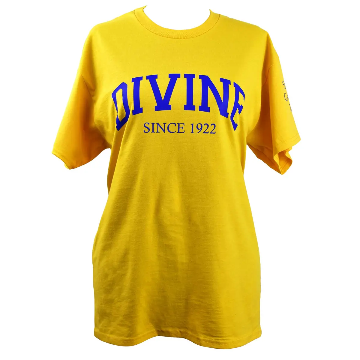 Sigma Gamma Rho Sorority, Incorporated T-Shirt- Divine And Sorority Name Design 1