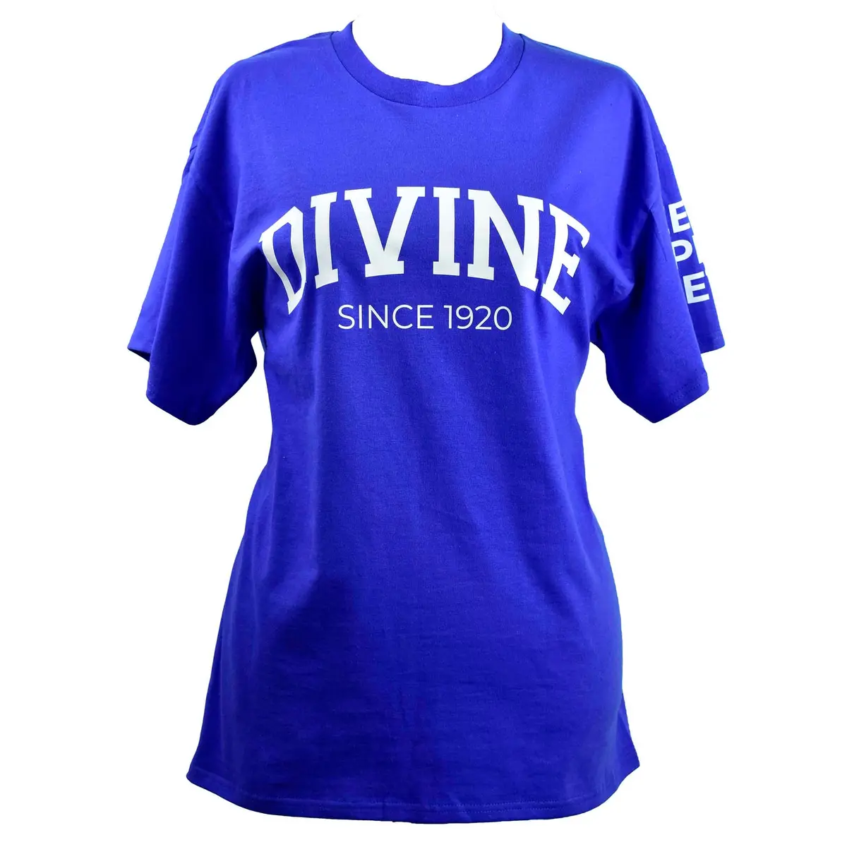 Zeta Phi Beta Sorority, Incorporated T-Shirt- Divine And Sorority Name Design 1